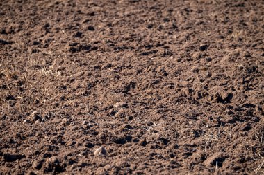 Altında kuru otlar olan koyu kahverengi tarım arazisi.