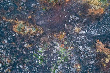 A Doğal Soyut 'tan ateşle hasar görmüş bir arazinin soyut dokusu.