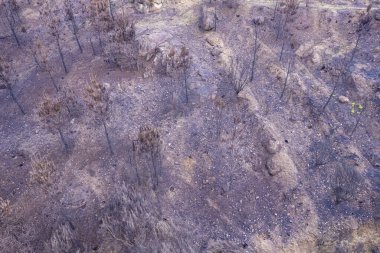 Kavurulmuş Rocky Diyarı 'nın İnsansız Hava Aracı Çekimi Issızlık Konsepti