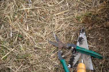 Rusty Garden Secateurs ve Trowel on Dry Hay Tarım Konsepti