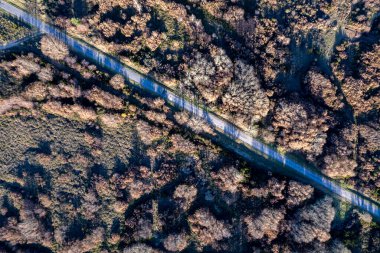 - Altı. Hava aracı kışın ağaçlardan gelen uzun gölgelerle düz bir yol izliyor..