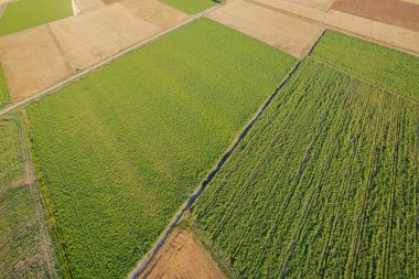 Çeşitli Ekinlerle Kırsal Arazinin Yukarıdan Aşağıya İnsansız Hava Aracı Çekimi.