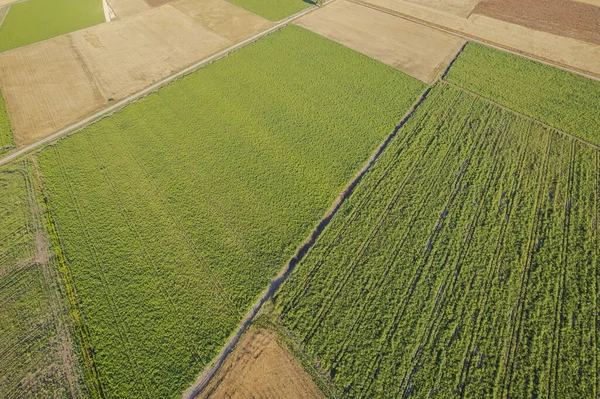 Çeşitli Ekinlerle Kırsal Arazinin Yukarıdan Aşağıya İnsansız Hava Aracı Çekimi.