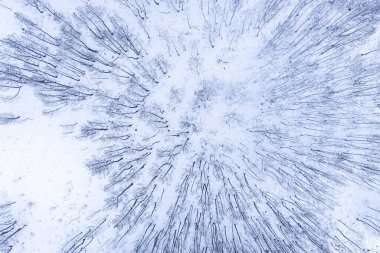 Soğuk, Beyaz, Kış Ormanı Yüksek Açı Görünümü