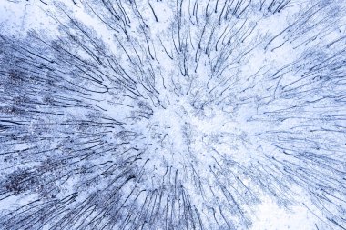 Sahil şeridinin havadan görünüşü Yazın Kavramı