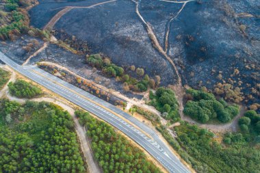 Yeşil çam ormanı ve yanmış bölge arasındaki hava manzarası