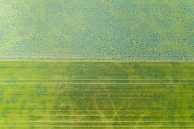 Kırsal Ekonomi Konseptinden Tarımsal Arazinin Geometrik Şablonu