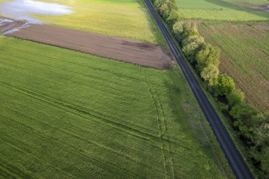 Geometrik ekin alanlarının ve ağaç hattının yüksek açılı görüntüsü Doğa Kavramı