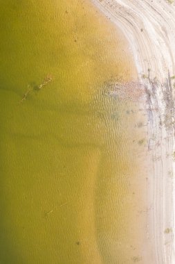 Kumlu bir nehir kıyısındaki yeşil su Çevresel Sorunlar Konsepti