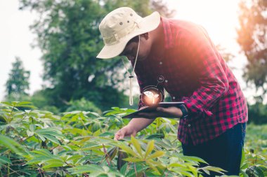 Çiftçiler bitki bakımına yardımcı olmak için tabletlerden sanal görüntü teknolojisi kullanıyorlar..