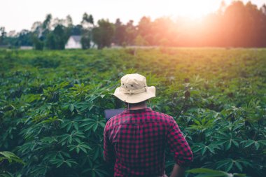 Çiftçiler bitki bakımına yardımcı olmak için tabletlerden sanal görüntü teknolojisi kullanıyorlar..
