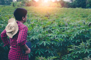 Çiftçiler bitki bakımına yardımcı olmak için tabletlerden sanal görüntü teknolojisi kullanıyorlar..