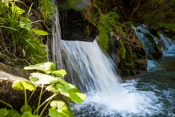 Waterfall in Carpathian mountains — Stock Photo, Image