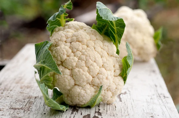 Coliflor — Foto de Stock