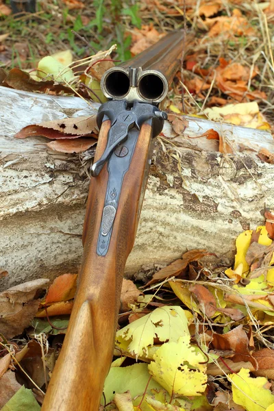A wooden retro shotgun — Stock Photo, Image