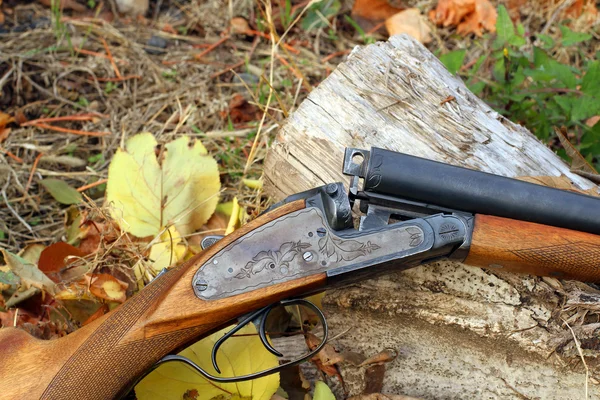 Una escopeta retro de madera en otoño Imágenes de stock libres de derechos