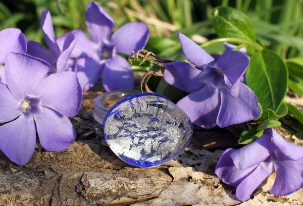 Скляне срібне кільце ручної роботи на фоні природи — стокове фото