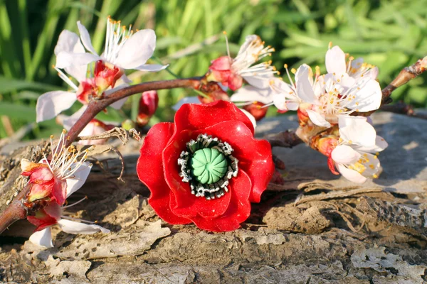 Anel de papoila de barro artesanal com flor de damasco — Fotografia de Stock