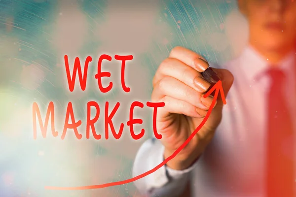 Handwriting text Wet Market. Concept meaning market selling fresh meat fish produce and other perishable goods digital arrowhead curve rising upward denoting growth development concept.