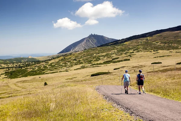 Turistas caminando en viaje, montañas checas —  Fotos de Stock