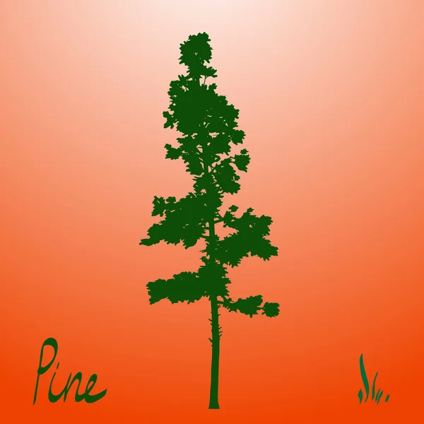 Pacific northwest pine old growth evergreen tree silhouette Stock Illustration