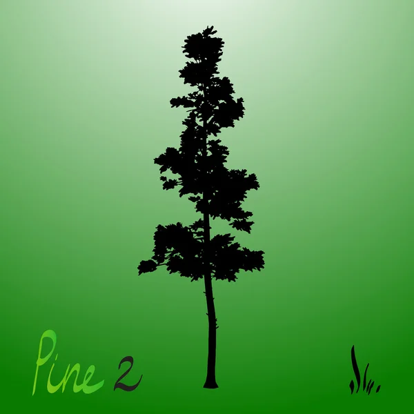 Silueta de árbol siempreverde de crecimiento antiguo pino noroeste del Pacífico — Vector de stock