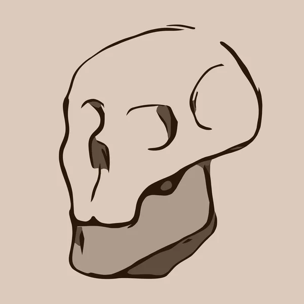 Hand Drawn cartoon Skull. Illustration — Stock Photo, Image
