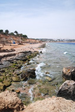 Güzel açık turkuaz deniz okyanus su yüzeyinde ripples düşük dalgalar ile deniz manzarası kum plaj arka plan, dikey resim fotoğrafı