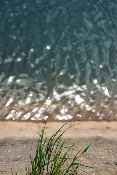 Herbe bouquet sur fond d'eau avec copyspace — Photo