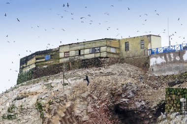 Guano collector's house in Islas Ballestas, Peru clipart