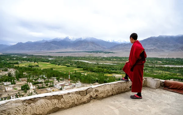 Jonge monnik op augustus gompa dak in Ladakh, India — Stockfoto