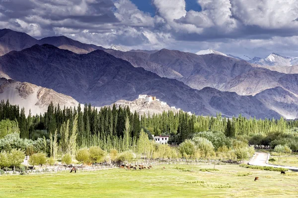 Veduta di Thiksey gompa attraverso la valle dell'Indo a Ladakh, India . — Foto Stock