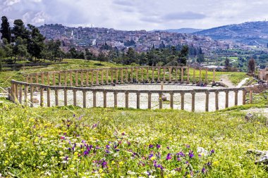 Antik: Jerash, Jordan - Jerash Oval Forum colonnade görünümünü Greko-Romen şehir Gerasa, Orta Doğu'daki en iyi korunmuş Roma şehirlerinden biri olan kalıntıları sitedir.