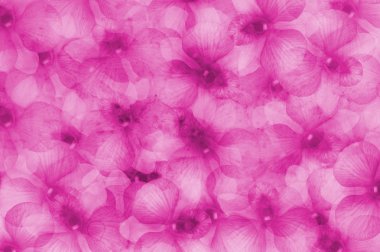 çiçek kartpostal eski pembe