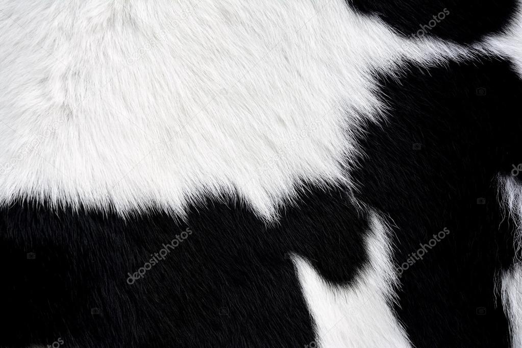 Cow fur (skin)black and white,background or texture