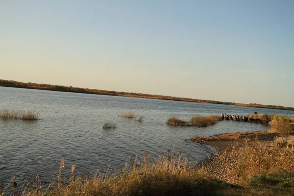 Brzeg północnej Dviny — Zdjęcie stockowe