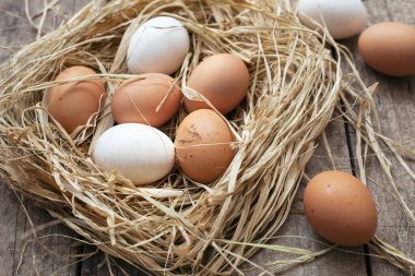 Ahşap zemin üzerinde yuvadaki organik yumurtalar.