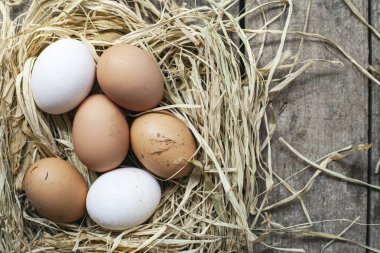 Ahşap zemin üzerinde yuvadaki organik yumurtalar.