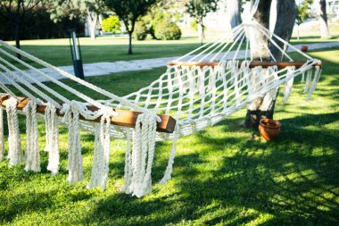 Ağacın yanındaki boş hamak