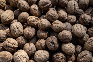 Ceviz arka plan, dağınık ceviz yığını.