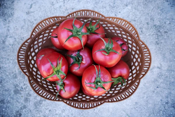 篮子里新鲜的西红柿 — 图库照片