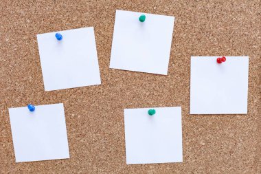 mantar pano boş notlar