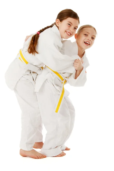 Judo. Imagem De Stock