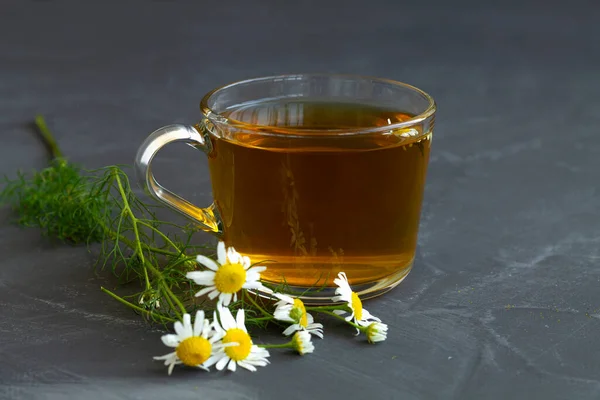 Mug Chamomile Tea Glass Cup Iced Herbal Chamomile Tea Black — Stock Photo, Image