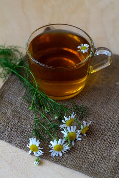 Hot Drinks Mug Chamomile Tea Sackcloth Glass Cup Hot Herbal — Stock Photo, Image