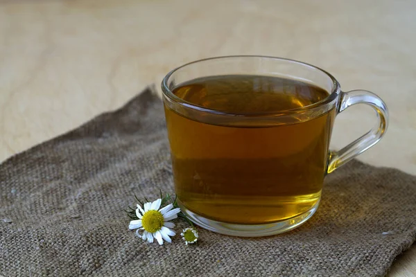 Bebidas Calientes Taza Manzanilla Tela Saco Taza Vidrio Caliente Manzanilla — Foto de Stock