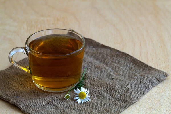 Bebidas Calientes Taza Manzanilla Tela Saco Taza Vidrio Caliente Manzanilla — Foto de Stock