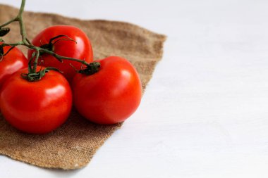 Kırmızı olgun domatesler yeşil bir dalda beyaz arka planda bez ve fotokopi alanı ile