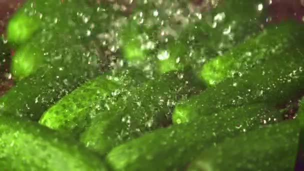 Szuper lassított felvétel az uborkán, ami leejti a vizet. 1000 fps sebességű kamerával filmezve. — Stock videók