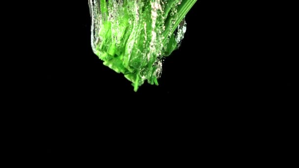 Super zpomalený čerstvý celer padá pod vodu se vzduchovými bublinami. Natočeno na vysokorychlostní kameře rychlostí 1000 snímků za sekundu. — Stock video